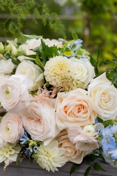 © Willow Photo Co. 2023